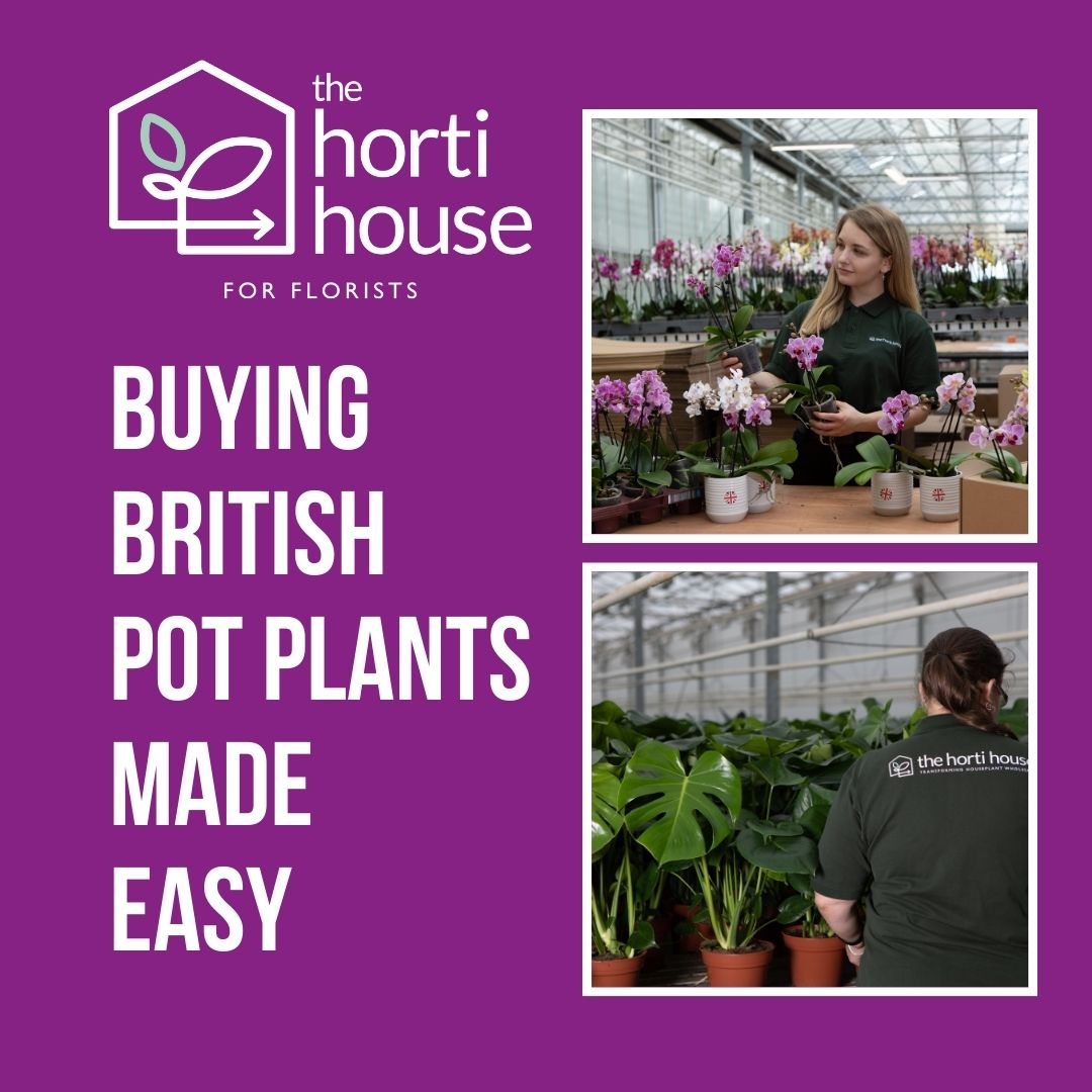 The Horti House … British plant supply made easy!